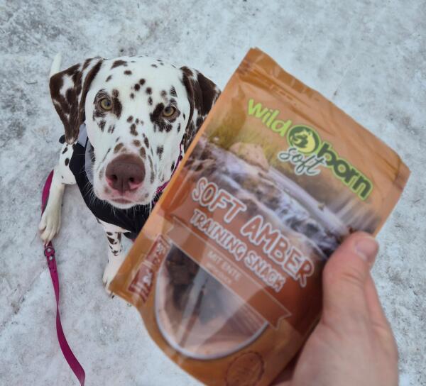 Getreidefreies Hundefutter mit bis zu 75% Fleisch | wildborn.com