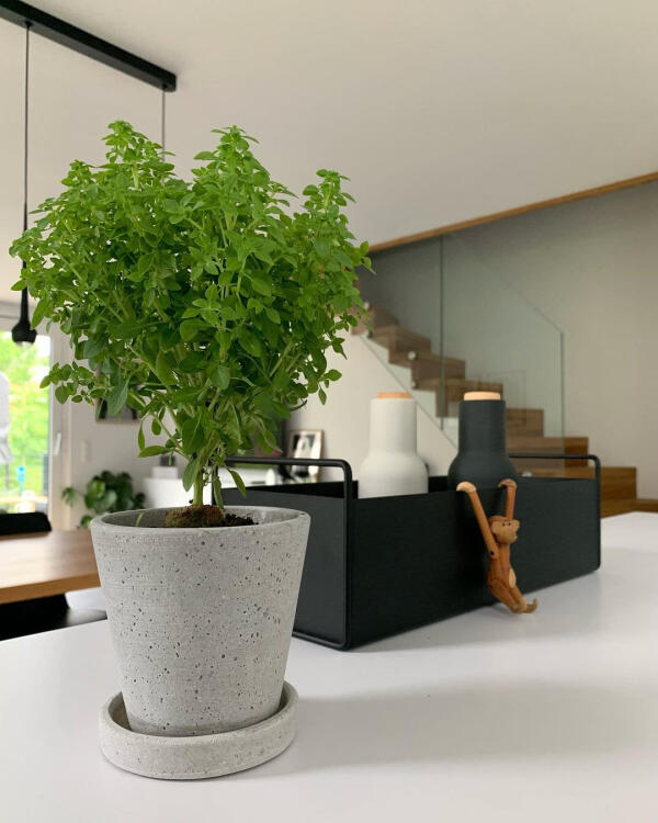 hänge blumenkasten holz Brauner Holz-Blumenkasten mit Seilgriff – rustikaler Pflanzkasten für  Balkon & Garten / Dekorativer Holzkasten für Kräuter & Blumen / H online  kaufen main image 0