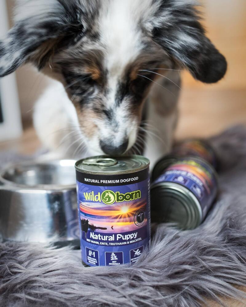Wildborn Natural Puppy mit Geflgel & Pangasius 2kg