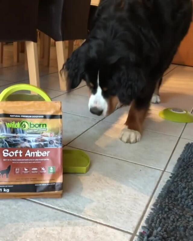 hunde kauknochen Kauknochen 10cm | Kausnack für Hunde