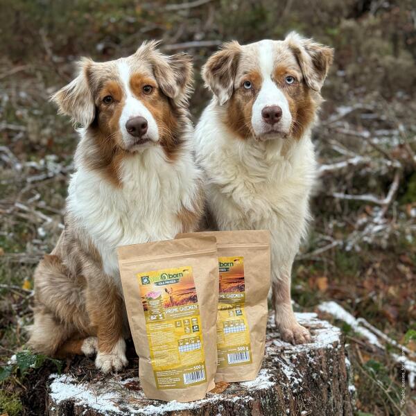 Getreidefreies Hundefutter mit bis zu 75% Fleisch | wildborn.com