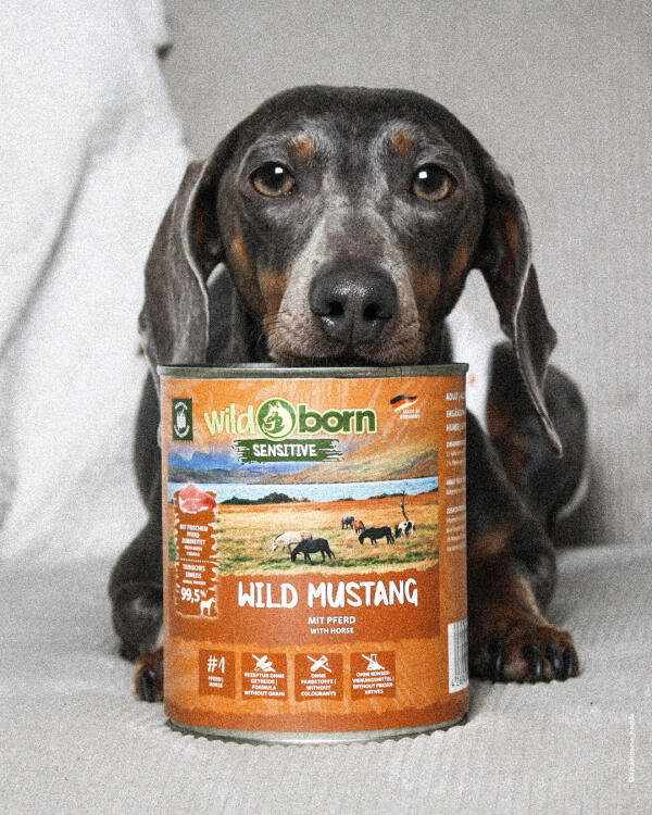 wild hundefutter WOLFOOD HIGH MEAT WILD PRAIRIE – Nourrir comme la nature main image 1