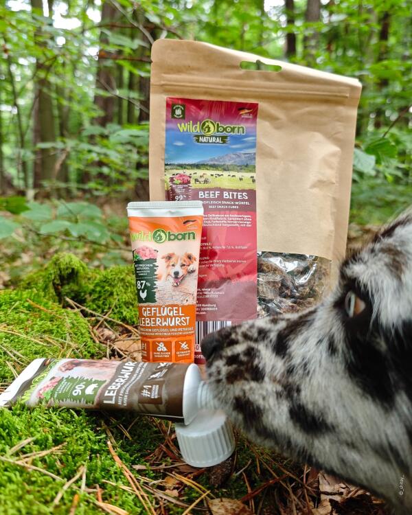 Getreidefreies Hundefutter mit bis zu 75% Fleisch | wildborn.com