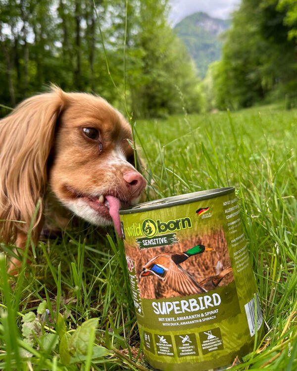 Getreidefreies Hundefutter mit bis zu 75% Fleisch | wildborn.com